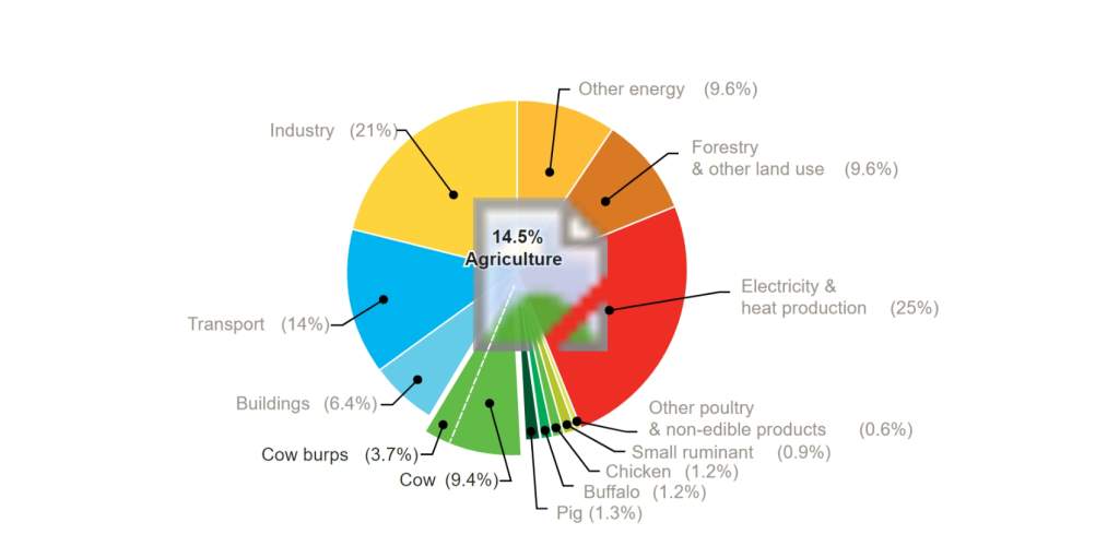 carbon emissions chart